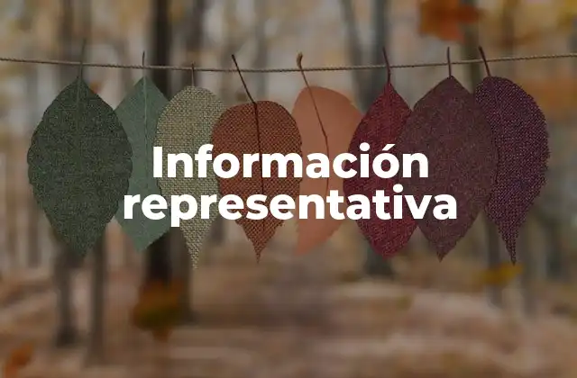 Información Representativa