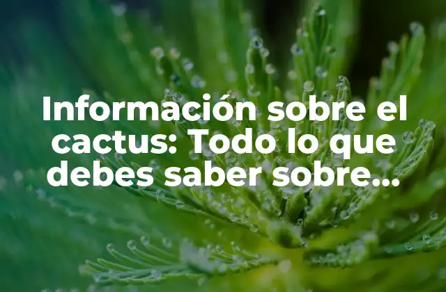Información sobre el Cactus: Todo Lo que Debes Saber sobre Estos Increíbles Plantas