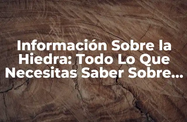 Información sobre la Hiedra: Todo Lo que Necesitas Saber sobre Esta Planta