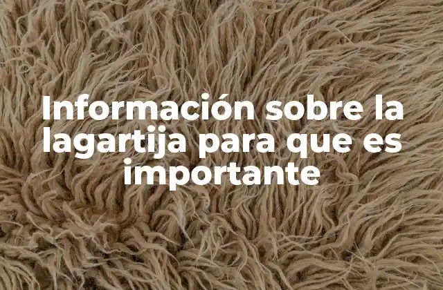 Información sobre la Lagartija para que es Importante