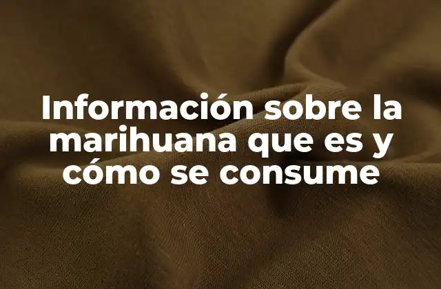 Información sobre la Marihuana que es y Cómo Se Consume
