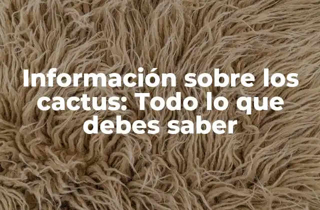 Información sobre los Cactus: Todo Lo que Debes Saber 2 Características físicas de los cactus