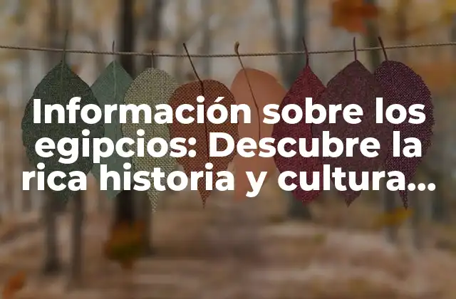 Información sobre los Egipcios: Descubre la Rica Historia y Cultura de Egipto