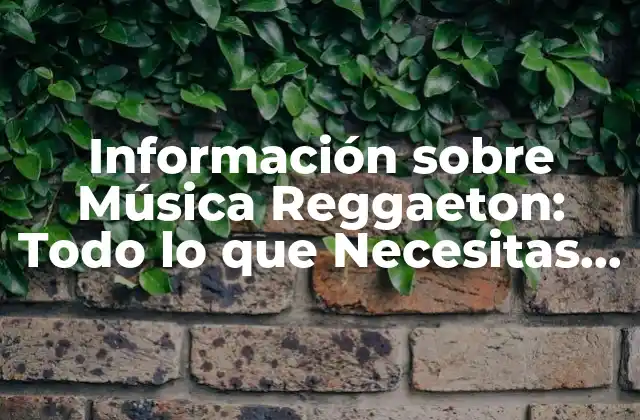 Información sobre Música Reggaeton: Todo Lo que Necesitas Saber