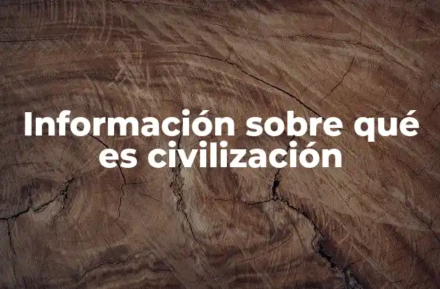Información sobre Qué es Civilización 2 Las bases esenciales que conforman una civilización