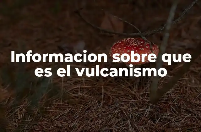 Informacion sobre que es el Vulcanismo
