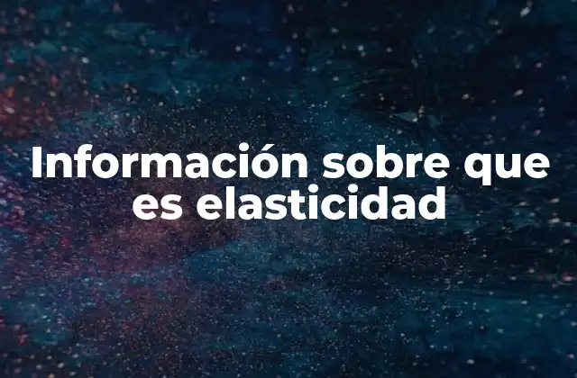 Información sobre que es Elasticidad