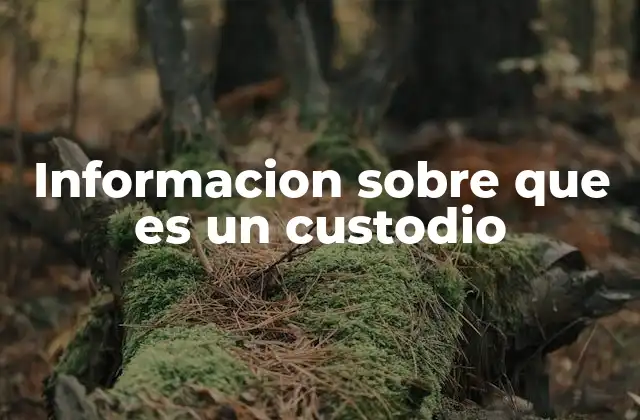 Informacion sobre que es un Custodio