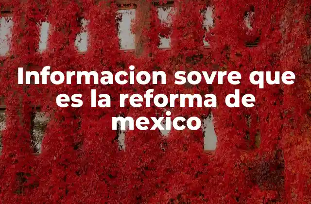 El contexto histórico que dio lugar a la Reforma