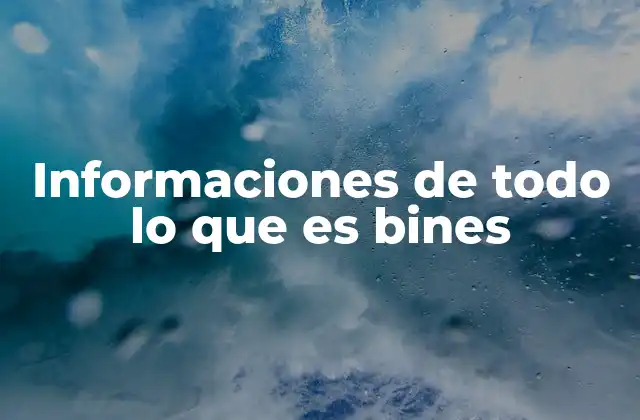 Informaciones de Todo Lo que es Bines