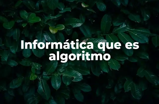 Informática que es Algoritmo 2 La importancia de los algoritmos en el desarrollo de software