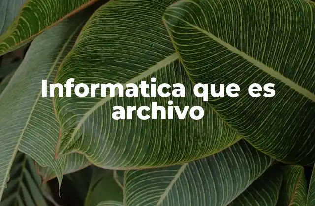 Informatica que es Archivo