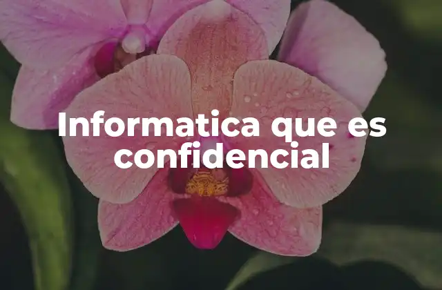 Informatica que es Confidencial 2 La protección de la información sensible en la era digital
