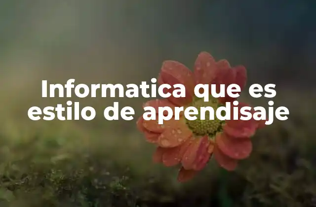 Informatica que es Estilo de Aprendisaje