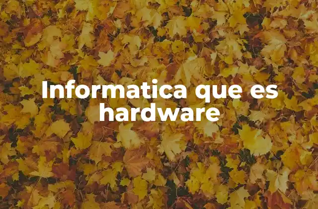 Informatica que es Hardware