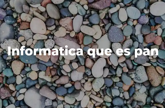 Informatica que es Pan