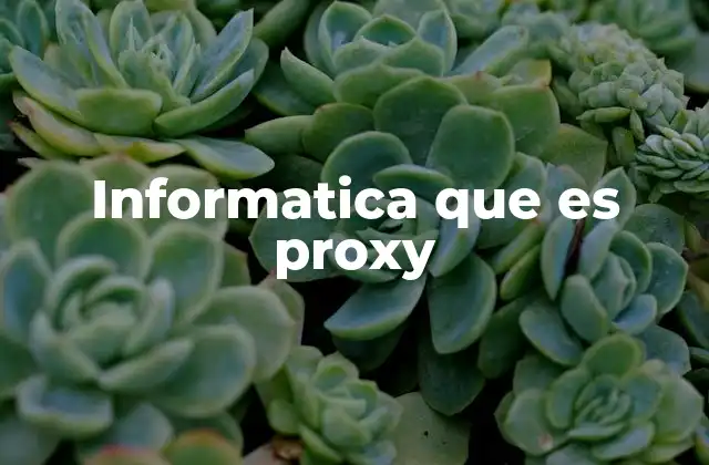 Informatica que es Proxy