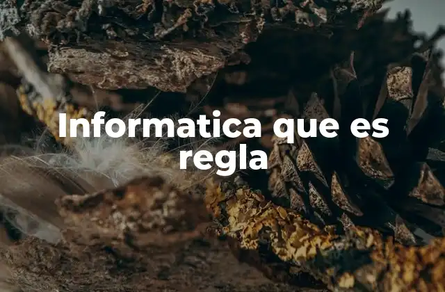 Informatica que es Regla