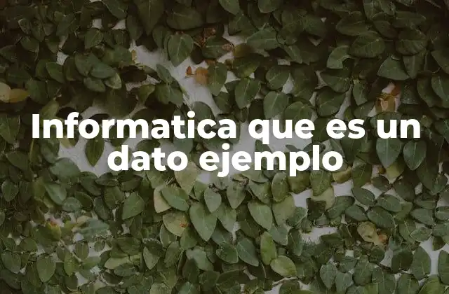 Informatica que es un Dato Ejemplo