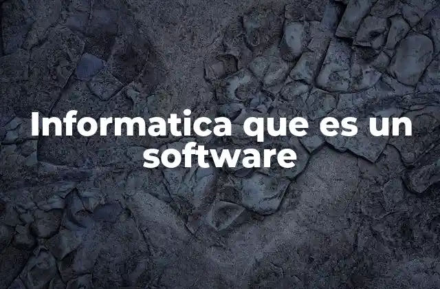 Informatica que es un Software