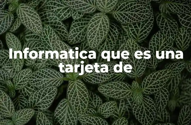 Informatica que es una Tarjeta de 2 Componentes esenciales en sistemas informáticos