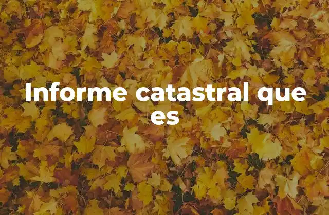 Informe Catastral que es 2 La importancia del informe catastral en la gestión inmobiliaria