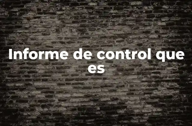 Informe de Control que es