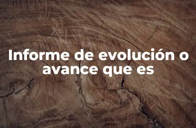 Informe de Evolución o Avance que es