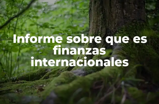 Informe sobre que es Finanzas Internacionales