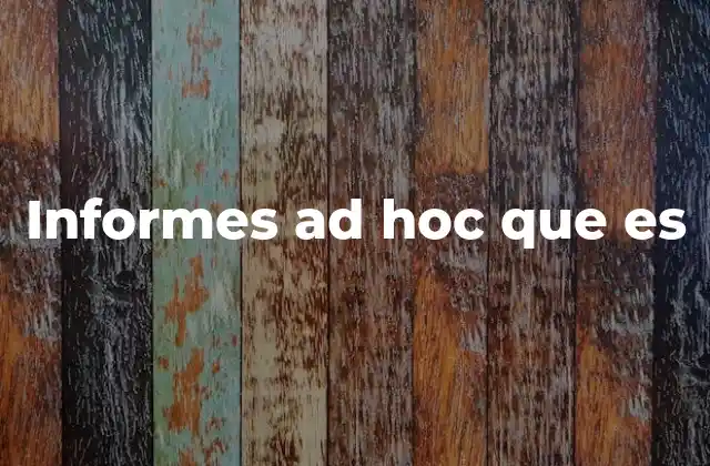 Informes Ad Hoc que es