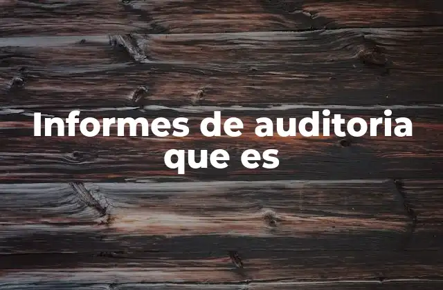 Informes de Auditoria que es