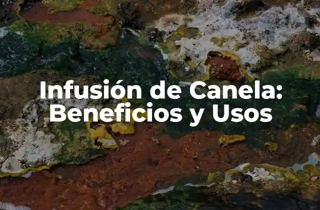 Infusión de Canela: Beneficios y Usos