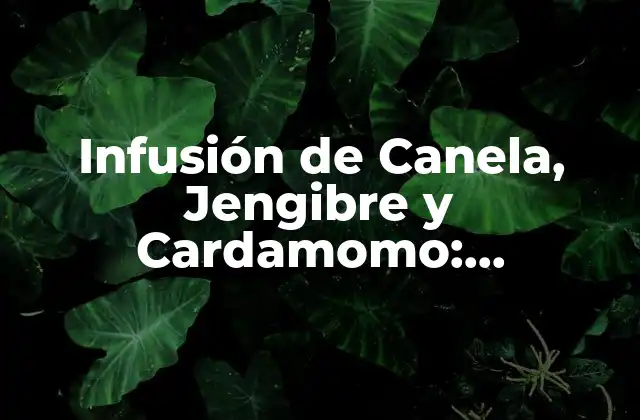 Infusión de Canela, Jengibre y Cardamomo: Beneficios y Recetas
