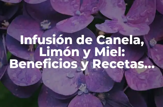 Infusión de Canela, Limón y Miel: Beneficios y Recetas para una Vida Saludable