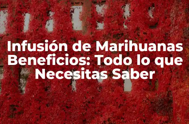 Infusión de Marihuanas Beneficios: Todo Lo que Necesitas Saber