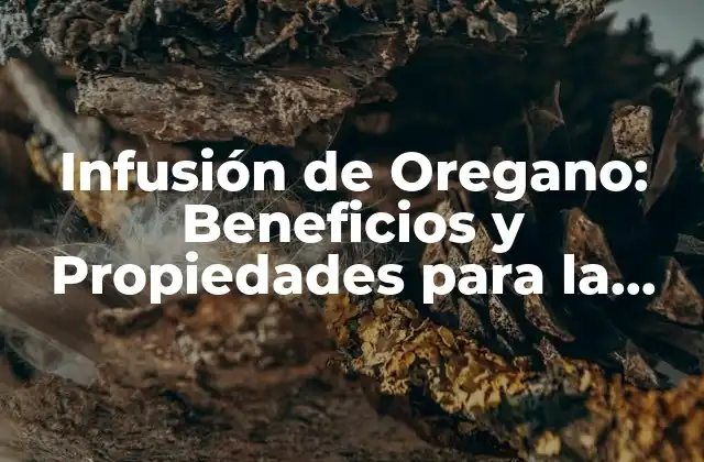 Infusión de Oregano: Beneficios y Propiedades para la Salud