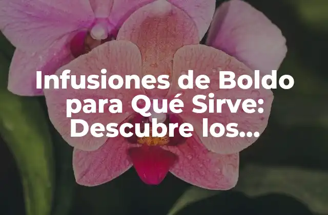 Infusiones de Boldo para Qué Sirve: Descubre los Beneficios de Esta Hierba Milagrosa