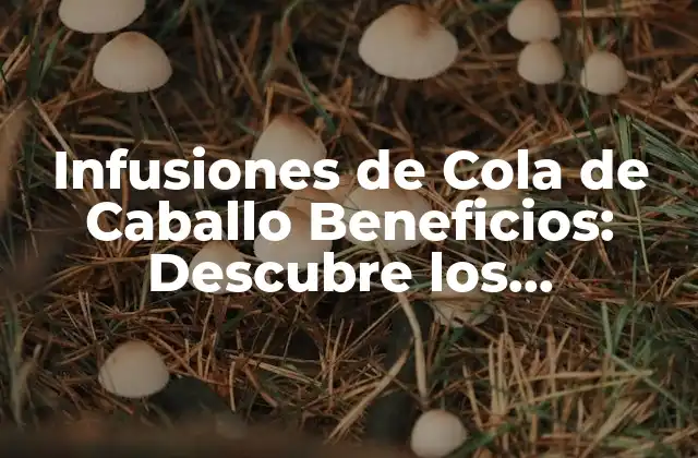 Infusiones de Cola de Caballo Beneficios: Descubre los Poderosos Efectos de Esta Hierba Natural