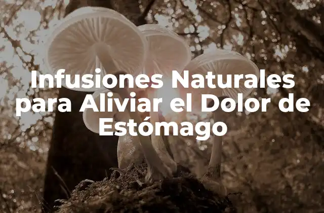 Infusiones Naturales para Aliviar el Dolor de Estómago