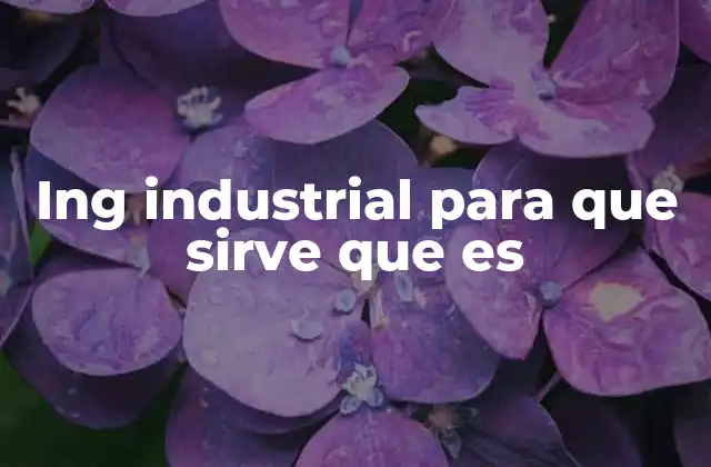 Ing Industrial para que Sirve que es
