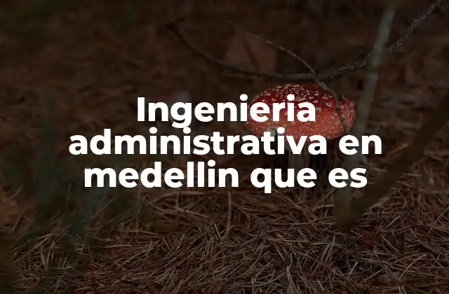 El rol de la ingeniería administrativa en la transformación empresarial de Medellín