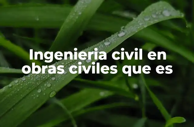 Ingenieria Civil en Obras Civiles que es