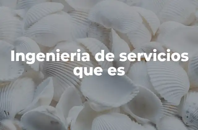 Ingenieria de Servicios que es