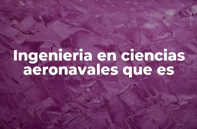 Ingenieria en Ciencias Aeronavales que es