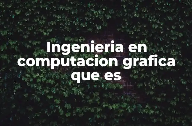 Ingenieria en Computacion Grafica que es