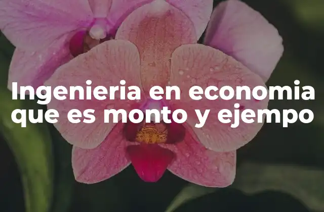 Ingenieria en Economia que es Monto y Ejempo