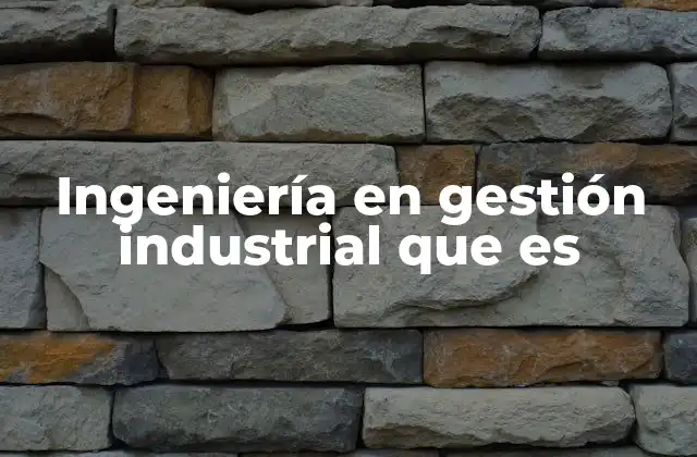 Ingeniería en Gestión Industrial que es