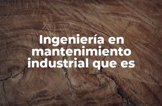 Ingeniería en Mantenimiento Industrial que es