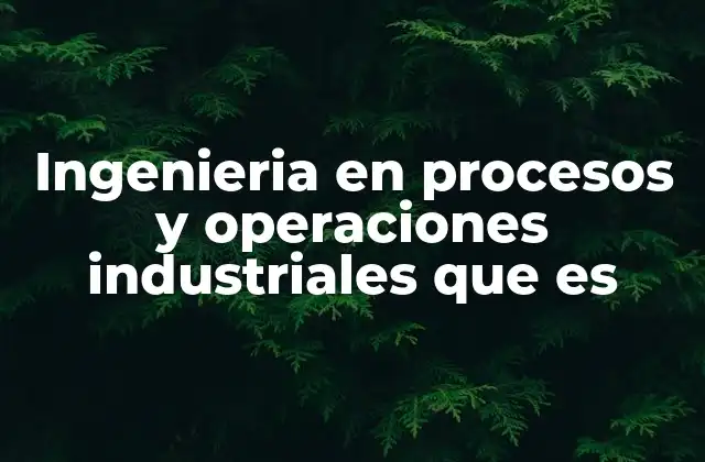 Ingenieria en Procesos y Operaciones Industriales que es