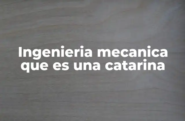 Ingenieria Mecanica que es una Catarina